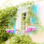 The Quiet Life French Windo..